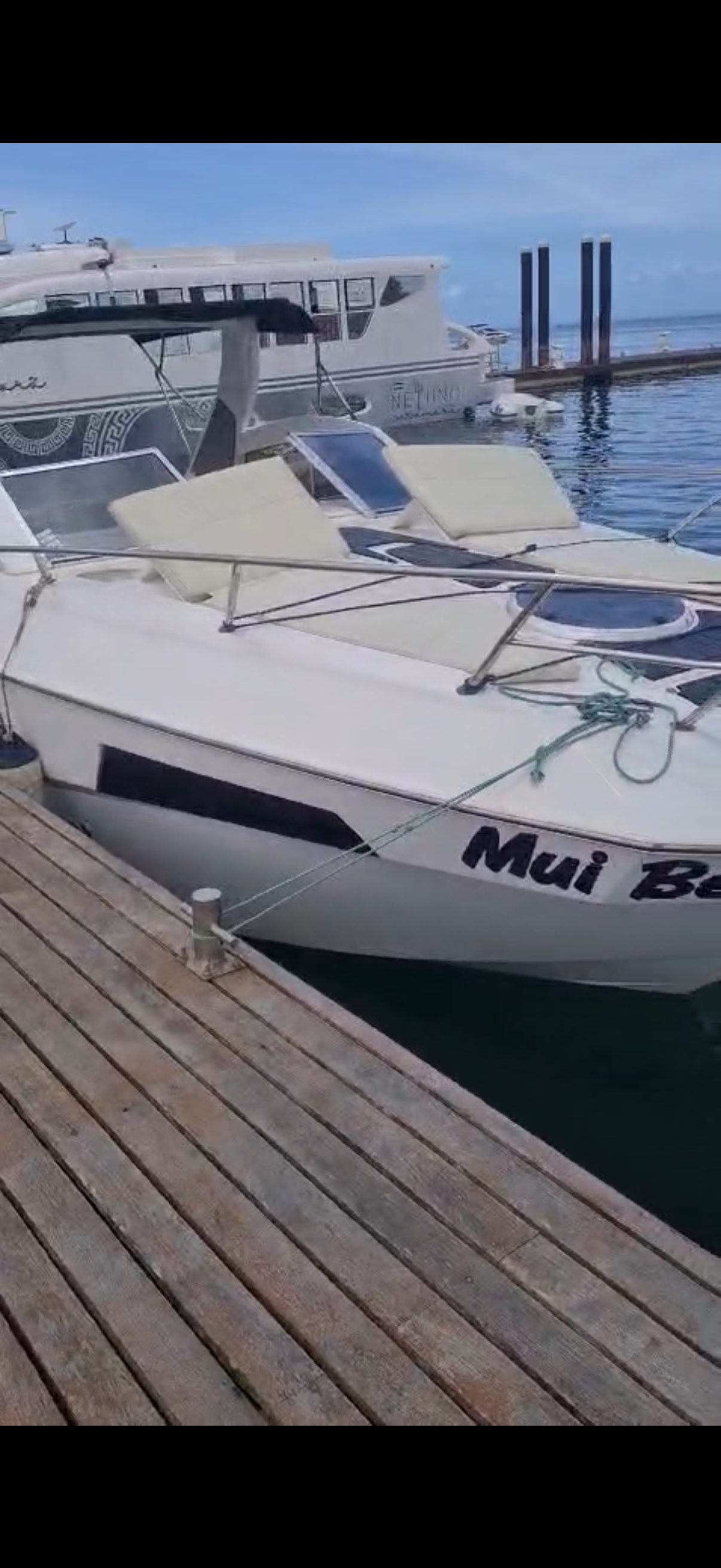 Regular Boat