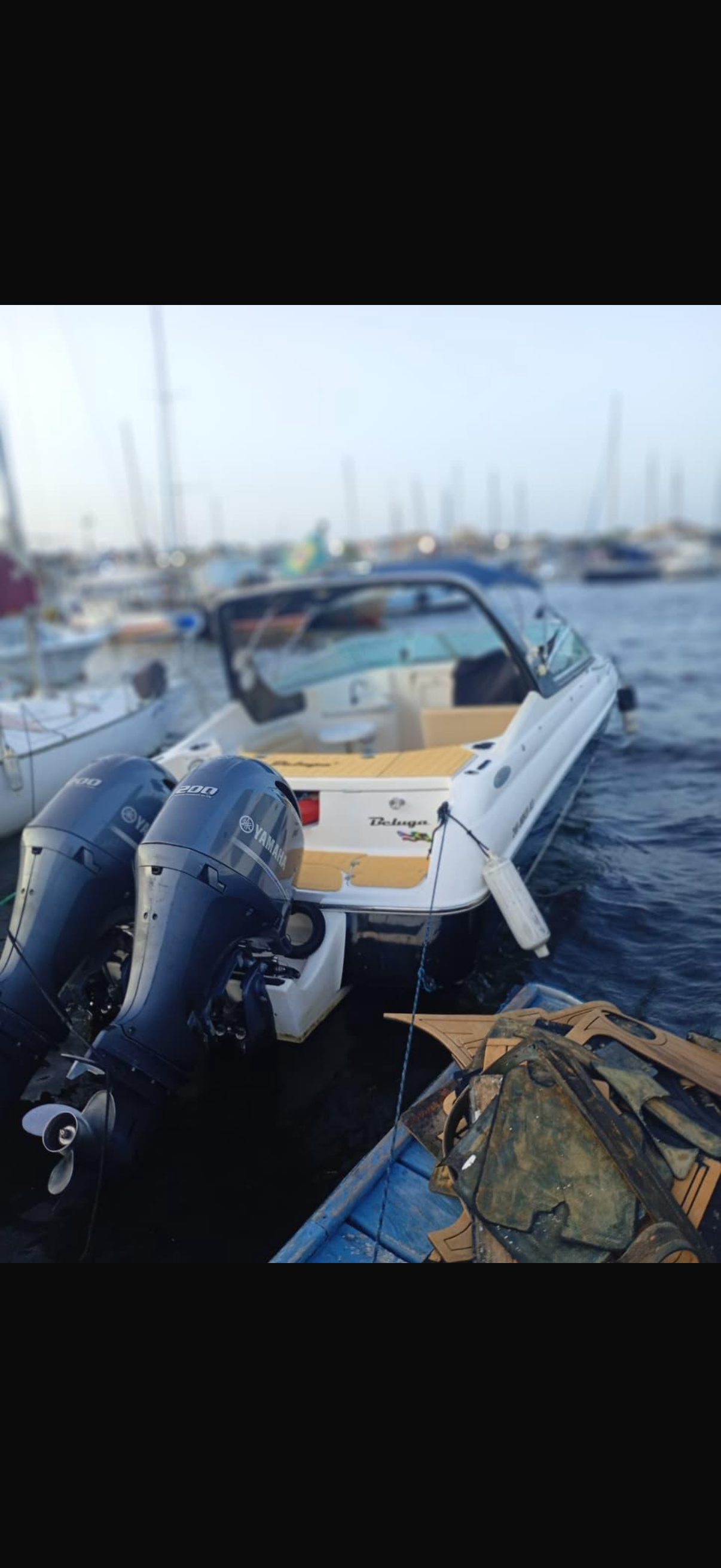 Regular Boat